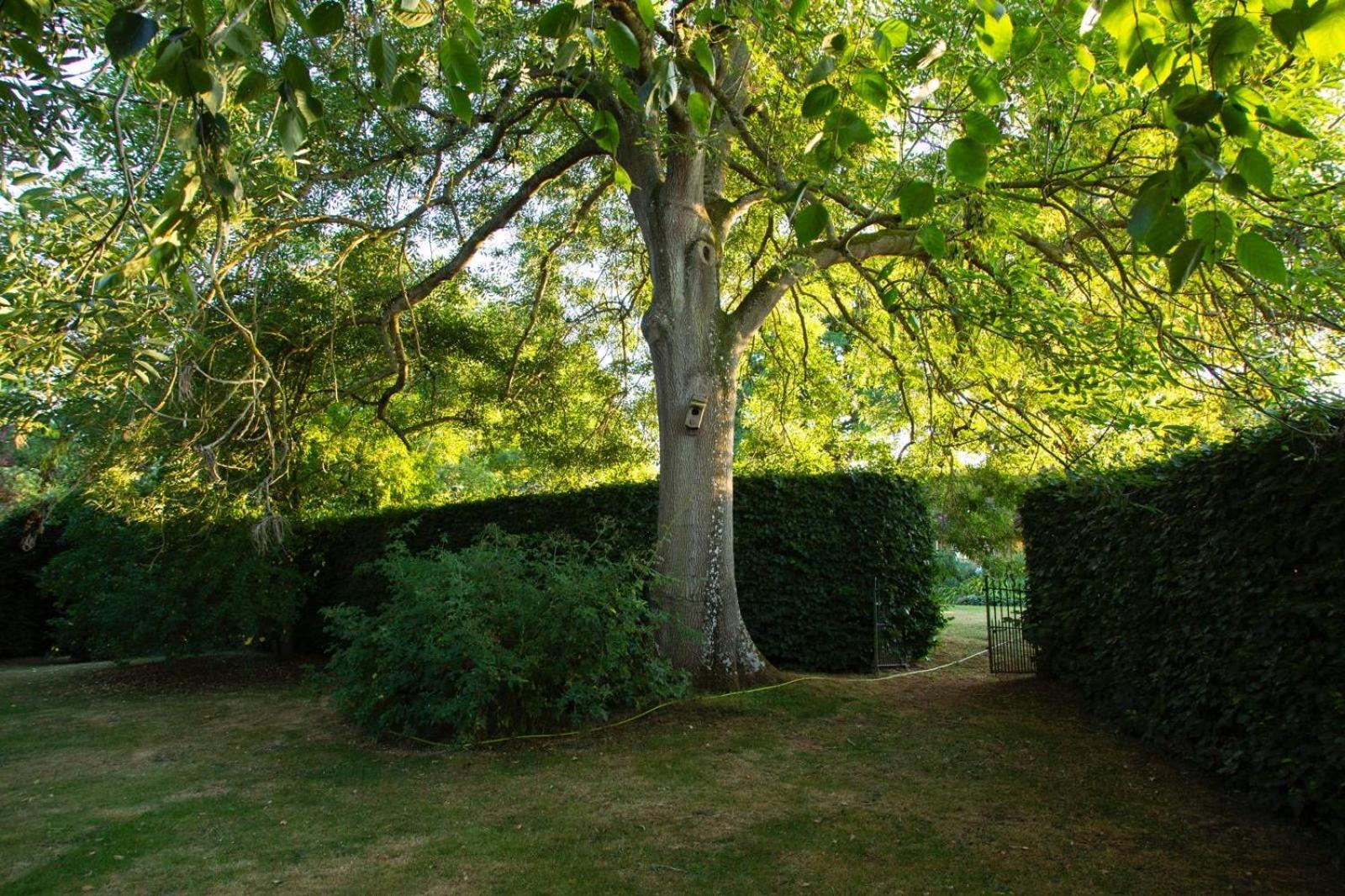 Ebony Cottage Tenbury Wells Extérieur photo